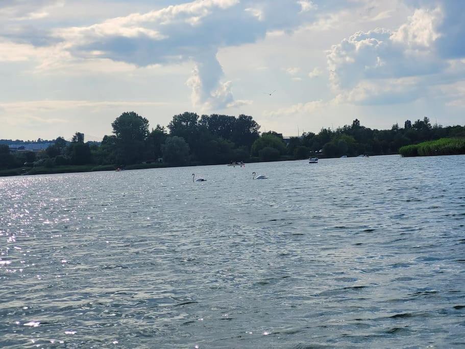 U Oli I Laury * Krakau