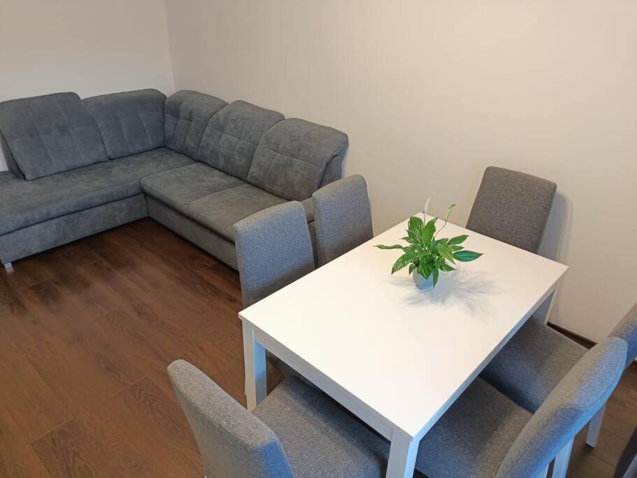 Apartment U Oli I Laury Krakau